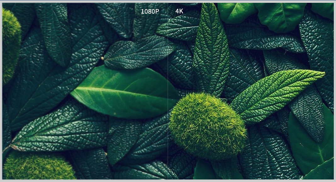 微信截圖_20201231174526.png 微信截圖_20201231174526.png